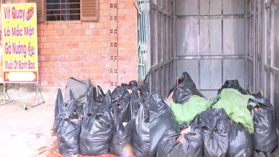 Hơn 2 tấn vịt chết bốc mùi bị phát hiện tại cơ sở kinh doanh ở TPHCM