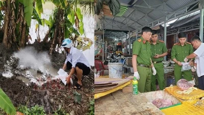 Phát hiện hàng trăm ký thịt nhiễm bệnh tại chợ Cần Thơ 