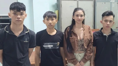 Đà Nẵng: Khởi tố cô gái 9X cầm đầu nhóm thiếu niên chém người 