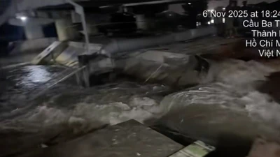 TP HCM: Khắc phục kịp thời sự cố vỡ cống ngăn triều ở rạch Ba Thôn