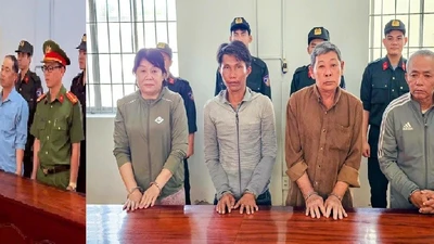 Khởi tố nhóm "phù phép" đất rừng Phú Quốc để chiếm đoạt gần 20 tỷ đồng