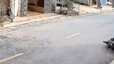 Lâm Đồng: Nữ điều dưỡng va phải chó thả rông, gặp nạn thương tâm
