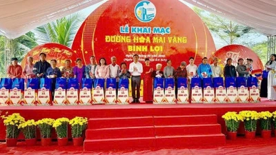 TP HCM: Khai mạc đường hoa mai vàng Bình Lợi, Tết Nguyên Đán 2026