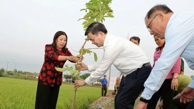 Cần Thơ phát động Tết trồng cây năm 2026 gắn với xây dựng đô thị sinh thái