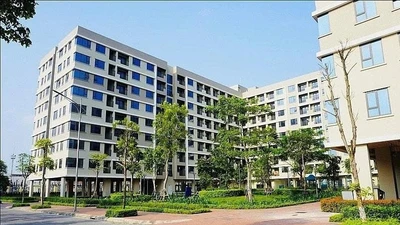 TP HCM: Rút ngắn thủ tục làm nhà ở xã hội chỉ còn từ 122 đến 132 ngày