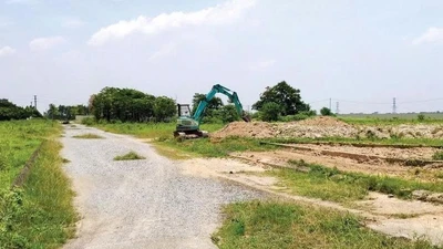 Bộ Nông nghiệp và Môi trường lập đường dây nóng xử lý vi phạm đất đai