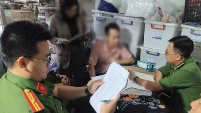 Đà Nẵng phát hiện cơ sở kinh doanh mua bán trái phép 65 cá thể chim hoang dã