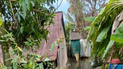 Hai mẹ con tử vong nghi do rò điện trong nhà ngập nước ở Đồng Tháp