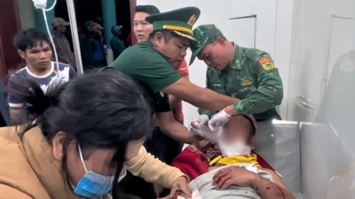 Kinh hoàng: Gấu rừng tấn công trưởng thôn ở Đà Nẵng