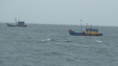 Bắt giữ 2 tàu cá vi phạm IUU trong đợt cao điểm kiểm tra trên biển