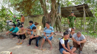 An Giang: Triệt phá tụ điểm đá gà ăn tiền tại phường Bình Đức