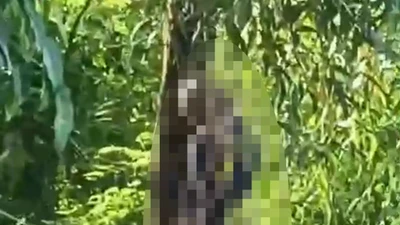 Điều tra vụ người đàn ông được phát hiện tử vong trong tư thế treo cổ