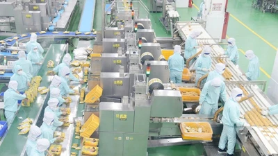 Đồng Tháp: Thưởng Tết Nguyên đán Bính Ngọ cao nhất 300 triệu đồng/người