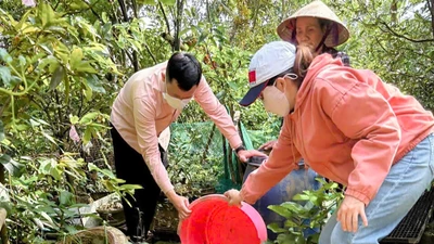 Thêm một ca tử vong vì sốt xuất huyết ở trẻ em tại Đồng Nai