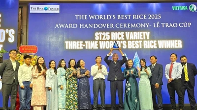 Gạo ST25 chính thức nhận cúp Gạo ngon nhất thế giới năm 2025
