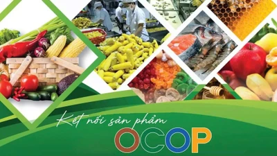 TP HCM sẽ tổ chức tuần lễ OCOP giới thiệu đặc sản của 24 tỉnh, thành