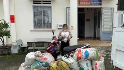 Người phụ nữ bị bắt quả tang khi hái trộm cà phê tại Bảo Lộc