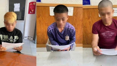 Đề nghị truy tố các bị can liên quan hai vụ cướp tài sản tại An Giang