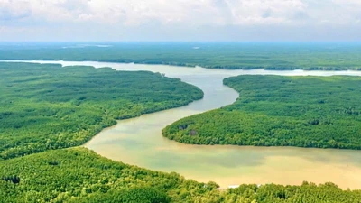 TP HCM phê duyệt Đề án phát triển du lịch sinh thái Cần Giờ