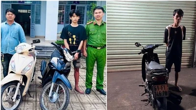 Tạm giữ 3 đối tượng liên quan vụ cướp tài sản trong lô cao su tại xã Bình An