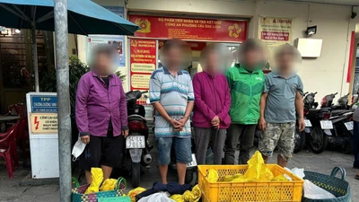 TPHCM: Triệt phá điểm tiêu thụ chó mèo nghi trộm cắp, tạm giữ 15 người