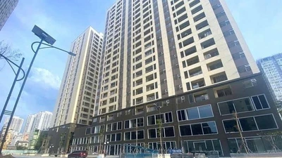 TP HCM hướng dẫn dùng Bản đồ số xác định điều kiện mua nhà ở xã hội