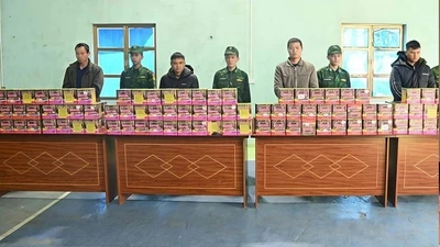 Bắt giữ 4 đối tượng, thu gần 2 tạ pháo nổ tại khu vực biên giới