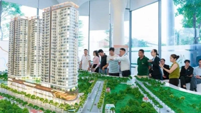 TP HCM: Khuyến nghị và chấn chỉnh các dự án BĐS chưa đủ điều kiện mua bán