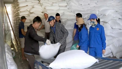 Xuất cấp hơn 4.153 tấn gạo hỗ trợ 5 địa phương dịp Tết Bính Ngọ 2026