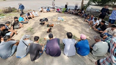 Cảnh sát Cần Thơ triệt phá trường gà quy mô lớn, tạm giữ 23 đối tượng