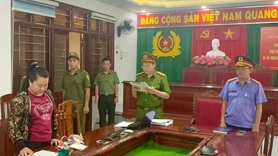 Bắt tạm giam người phụ nữ ở Gia Lai bị cáo buộc lừa đảo 2,5 tỷ đồng