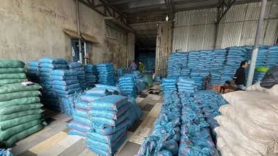 Khởi tố giám đốc doanh nghiệp sản xuất muối I-ốt giả