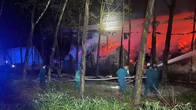 TPHCM: Cháy lớn tại cơ sở gỗ, hàng chục người khẩn trương dập lửa