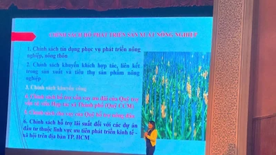 TPHCM: Nhiều chính sách cụ thể hỗ trợ thanh niên khởi nghiệp nông nghiệp 