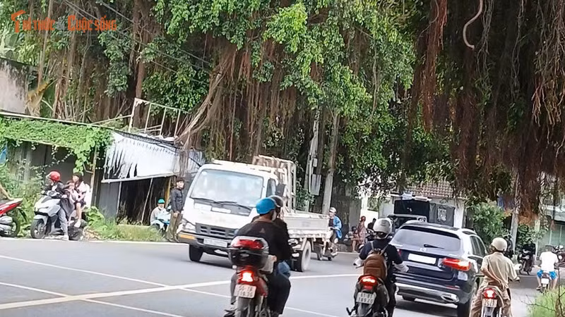 Nghi phạm mang dao tấn công nhiều người trong khu trọ ở TP HCM