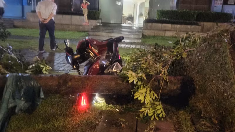 Mưa giông liên tiếp gây ngập sâu, cây đổ đè người đi đường ở TP HCM