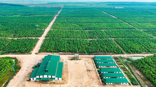 HAGL Agrico đã hoàn tất trả nợ cho Hoàng Anh Gia Lai HAGL Agrico da hoan tat tra no cho Hoang Anh Gia Lai