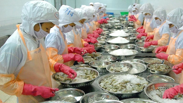 Lanh dao Camimex gui tam thu, tiet lo doanh thu tang gap doi