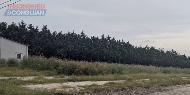 Dia oc Duc Anh ve du an 'ma' o Binh Phuoc cau khach vi pham phap luat?-Hinh-2