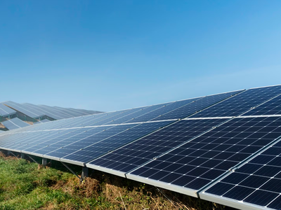 Thành viên Tập đoàn T&T lãi đậm Thanh vien Tap doan T&T lai dam