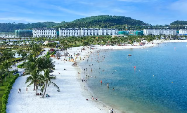 Chu dau tu du an Doi Rong mua lai 113 ty dong trai phieu