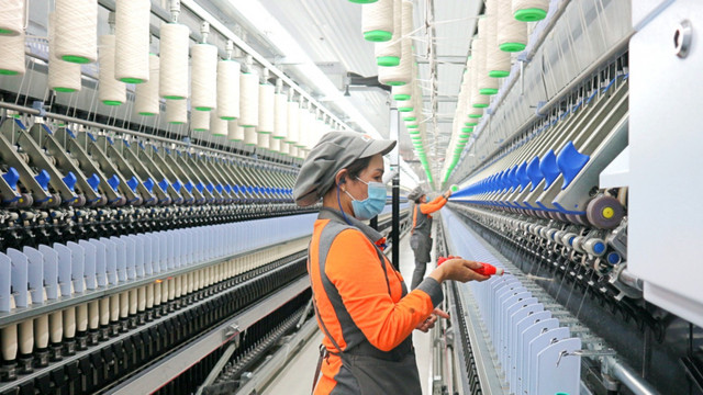 Sợi Thế Kỷ phát hành 14,5 triệu cổ phiếu chi cổ tức 2023 Soi The Ky phat hanh 14,5 trieu co phieu chi co tuc 2023