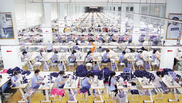 Det may Thanh Cong lai 263 ty dong trong 11 thang, vuot 63% ke hoach