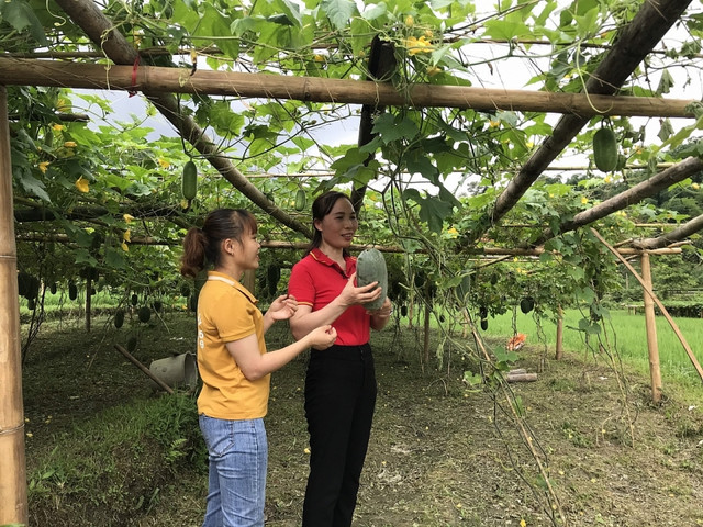 WinCommerce thuc day tieu thu nong san Bac Giang, Bac Kan-Hinh-3