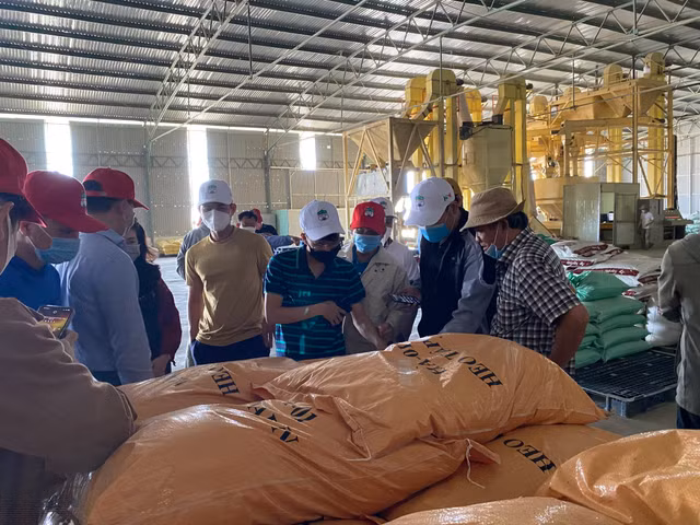 Bau Duc huong dan cac co dong, nha dau tu tham quan du an-Hinh-7