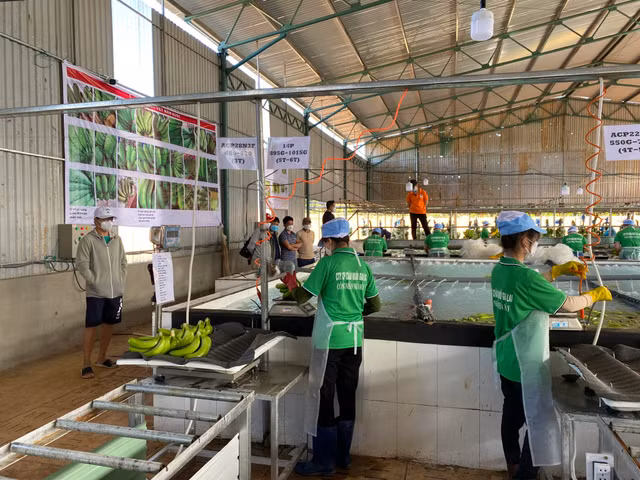 Bau Duc huong dan cac co dong, nha dau tu tham quan du an-Hinh-5