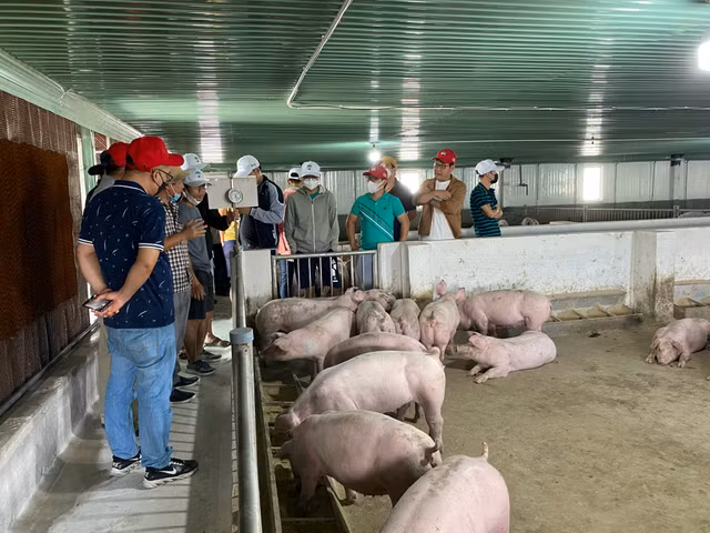 Bau Duc huong dan cac co dong, nha dau tu tham quan du an-Hinh-8