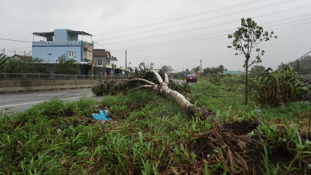 Bão số 9 áp sát đất liền, 2 người chết khi đang chằng chống nhà - Hình 2 Bao so 9 ap sat dat lien, 2 nguoi chet khi dang chang chong nha-Hinh-2