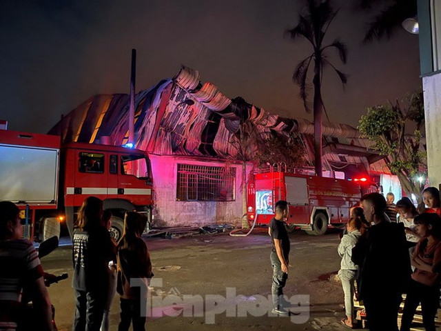 Công nhân bật khóc khi công ty gỗ rộng 5.000 m2 bị lửa nhấn chìm - Hình 8 Cong nhan bat khoc khi cong ty go rong 5.000 m2 bi lua nhan chim-Hinh-8