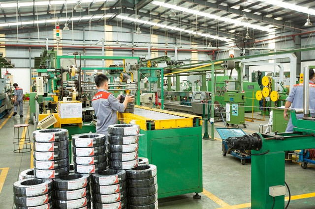 Cadivi du tang ty le co tuc tu 50% len 140%